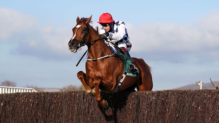 Banbridge looks a legitimate threat to Galopin Des Champs' hopes of a third success in the Festival's Blue Riband race