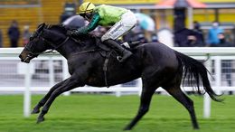 Steel An Icon will be looking to complete a hat-trick in the opener at Windsor