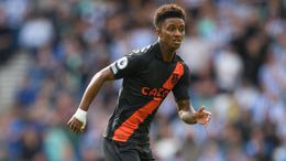 Demarai Gray has hit the ground running since signing for Everton