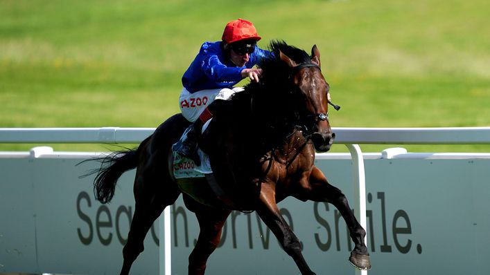 Adayar will be gunning for Champion Stakes glory at Ascot on Saturday