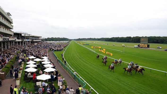 Our full focus is on Haydock's fantastic eight-race card on Friday