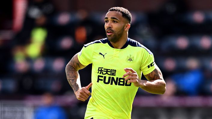 Callum Wilson could return to Newcastle's starting line-up for the visit of West Ham