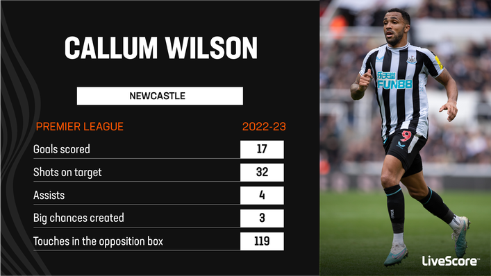 Callum Wilson has been one of the Premier League's most prolific strikers this season