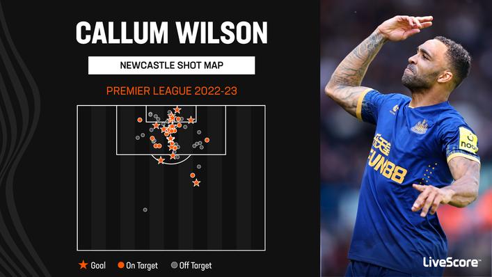 All but three of Callum Wilson's Premier League goals this season have come from inside the box