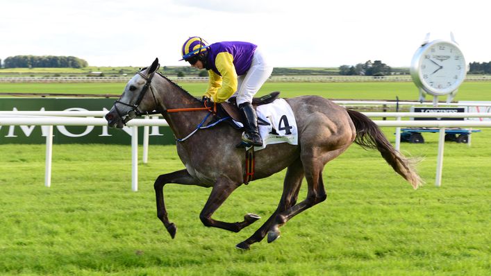 Princess Zoe could be an each-way option in the Gold Cup.