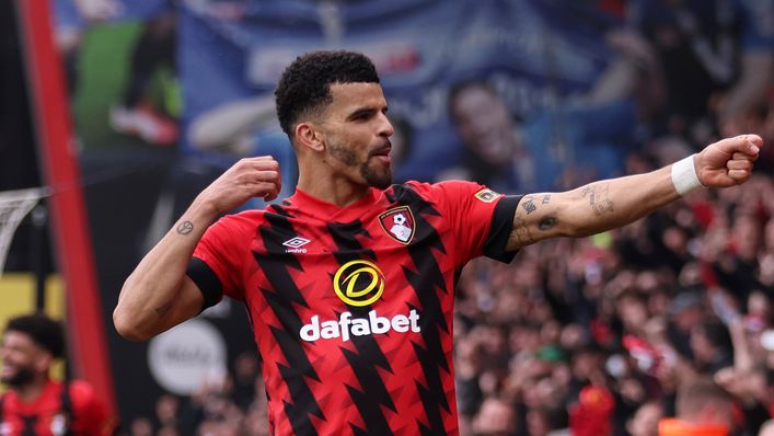 Dominic Solanke will hope to help keep Bournemouth in the Premier League again
