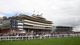 There are eight races at Newbury on Friday