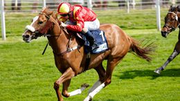 Gale Force Maya is a big contender in Friday's feature race at Ayr
