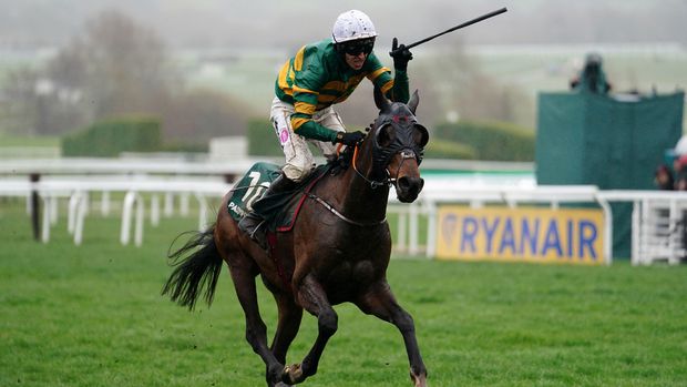 Sire Du Berlais secured a third Cheltenham Festival win with a surprise win in the Stayers' Hurdle