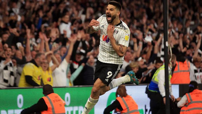 Fulham striker Aleksandar Mitrovic lit up the Championship with his goalscoring prowess