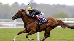 Stradivarius headlines a field of 16 for the Doncaster Cup