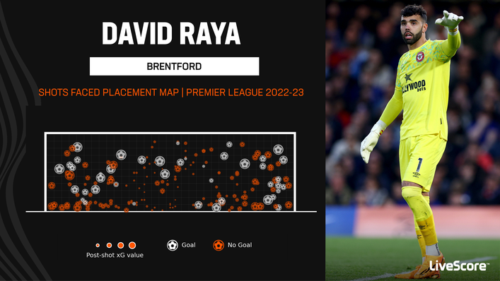 David Raya has been a terrific shot-stopper for Brentford this season