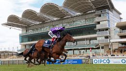 Ascot's card is a big part of Saturday's high-quality action