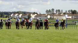The Virgin Bet Ayr Gold Cup is one of the feature races on Saturday while there is also an excellent Newbury card
