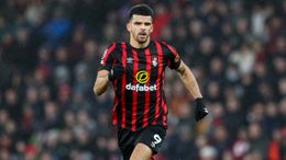 Dominic Solanke has impressed for Bournemouth this season