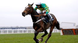 Jonbon is unbeaten as a chaser and disputes favouritism for the Arkle Novices' Chase