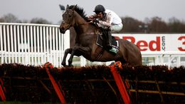 No challenger has finished nearer than 12 lengths to Constitution Hill, who looks primed for Champion Hurdle glory