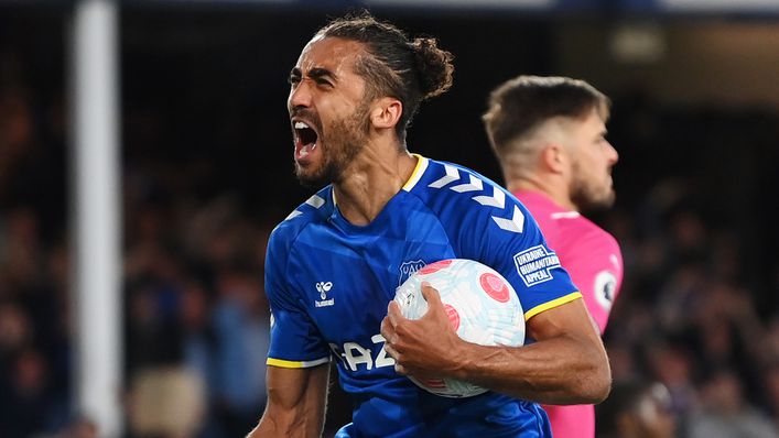 Dominic Calvert-Lewin scored the winning goal aganst Crystal Palace that secured Everton's safety