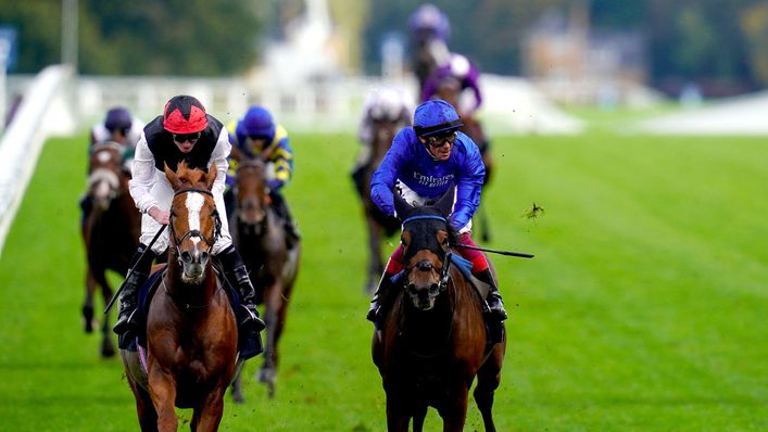 Trawlerman beat Gold Cup rival Kyprios on Champions Day at Ascot last October