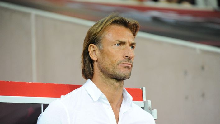 Herve Renard's appointment appears to have unified France