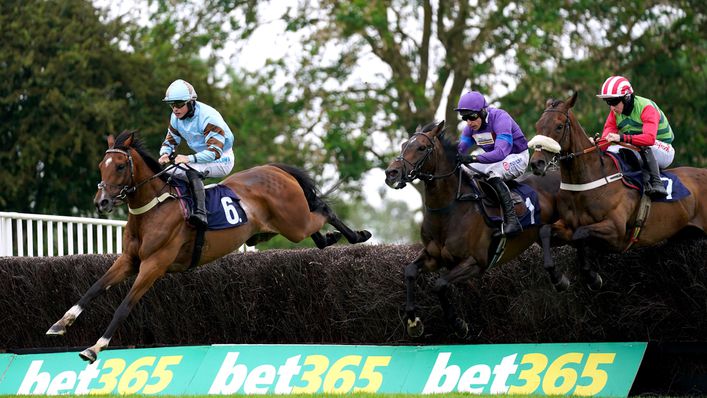 Statuario (left) finished third in the Summer Plate two years ago and is in fantastic form as he looks to go two better on Saturday