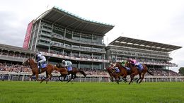 The Nunthorpe Stakes is the big race at York on Friday