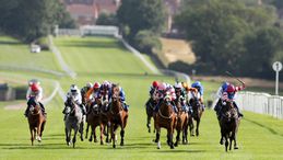 Monday's focus is on the eight-race card at Leicester