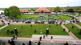 Plenty of brilliant horses have taken to the parade ring at Newmarket Racecourse