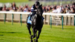 French raider Topgear has won his last three races which includes an impressive success in Newmarket's Challenge Stakes