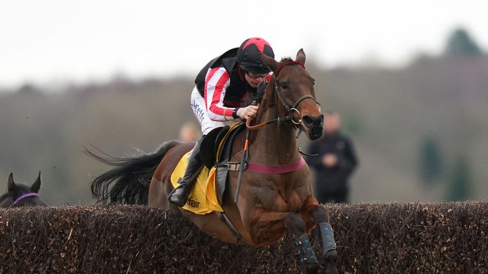 Funambule Sivola look to be the value option in the Queen Mother Champion Chase