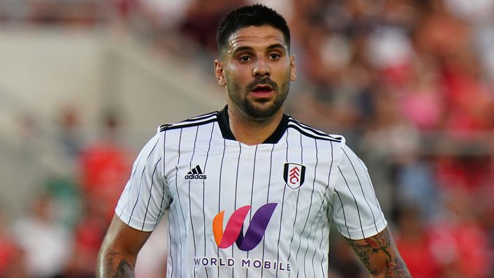 Fulham's survival hopes are largely pinned on star striker Aleksandar Mitrovic