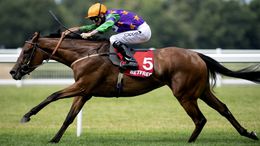 Lady Bowthorpe is expected to go close at Deauville