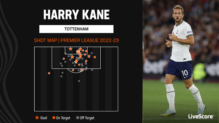 Harry Kane has scored 12 Premier League goals so far this season