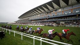 Ascot hosts a seven-race card on Friday afternoon