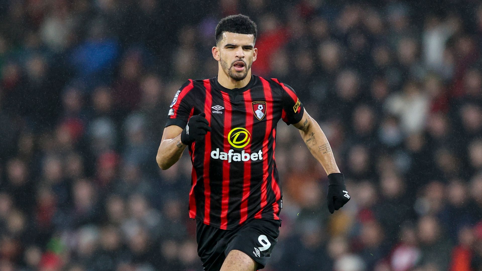 Dominic Solanke On Arsenal's Radar After Brilliant Bournemouth Form ...