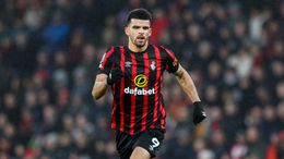 Dominic Solanke is a vital cog in the Bournemouth machine