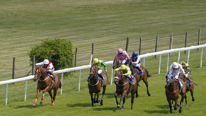 Action at Salisbury racecourse