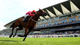 Ascot and Haydock share our focus on Saturday