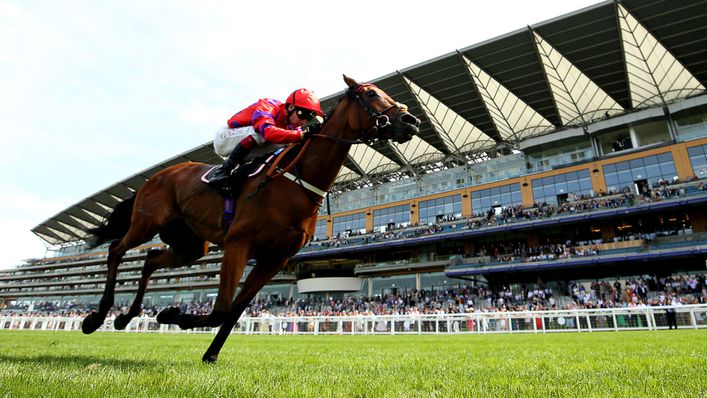 Ascot and Haydock share our focus on Saturday