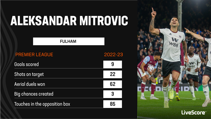 Aleksandar Mitrovic has been in impressive form for Fulham in the Premier League this term