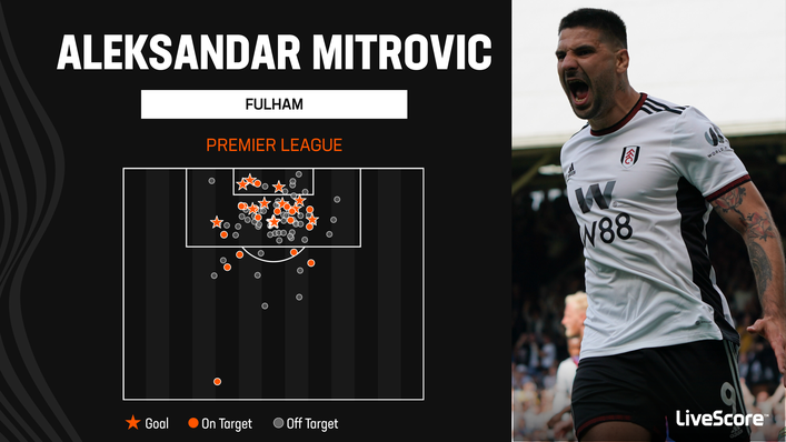Aleksandar Mitrovic was Fulham's main man last season