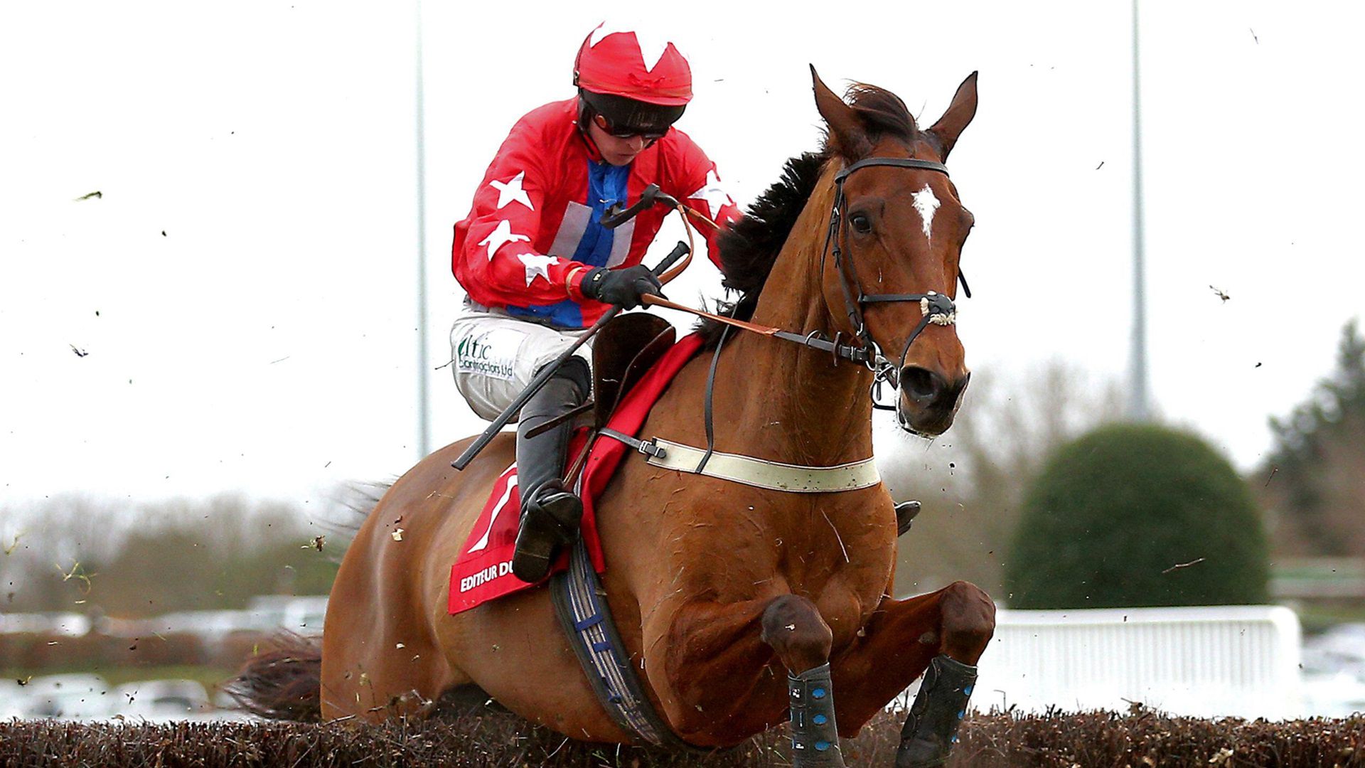 Cheltenham Festival Trials Day predictions Editeur Du Gite to trouble