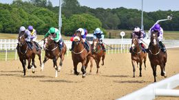 It is Northumberland Plate day at Newcastle