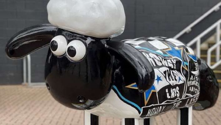 Newcastle have been fleeced with their latest signing