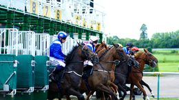 Lingfield racecourse will host an entertaining evening of racing