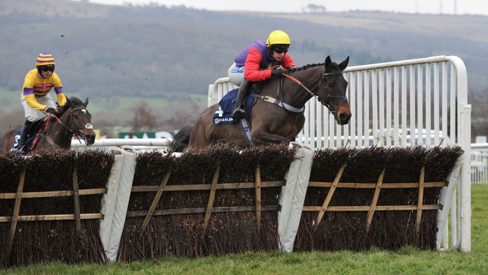 Dashel Drasher was second in the Cleeve Hurdle over the C&D on Trials Day and offers plenty of each-way value