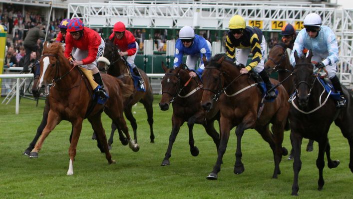 The eight-race Flat card at Hamilton is our focus of attention for Monday's action