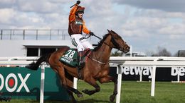 Grand National winner Noble Yeats is gunning for more glory on what looks a quality day's racing at Cheltenham on Saturday.