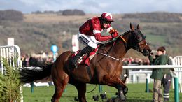 Tiger Roll will be retired following next month's Cheltenham Festival