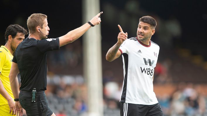 Aleksandar Mitrovic has been Fulham's leading player this season in front of goal